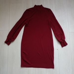 Turtle neck sweather dress